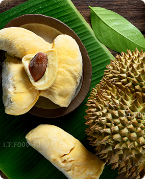 ÁNH SÁNG MẶT TRỜI TỰ NHIÊN 3